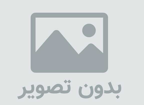 چگونه با وردپرس در Google PageSpeed Insights امتیاز ۱۰۰/۱۰۰ بگیریم؟